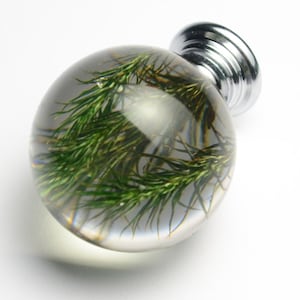 Peut inclure: Une sphère de verre transparente avec un bouton argenté, contenant de la végétation verte préservée.