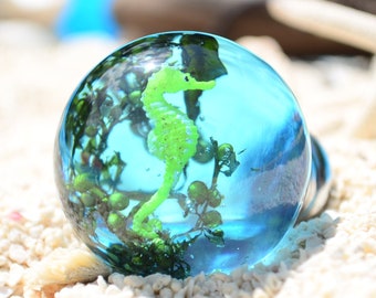 Seahorse badkamermeubelknoppen Oceaan in je badkamer cadeau voor hem knoppen en trekkers 40 mm, cadeau voor papa,