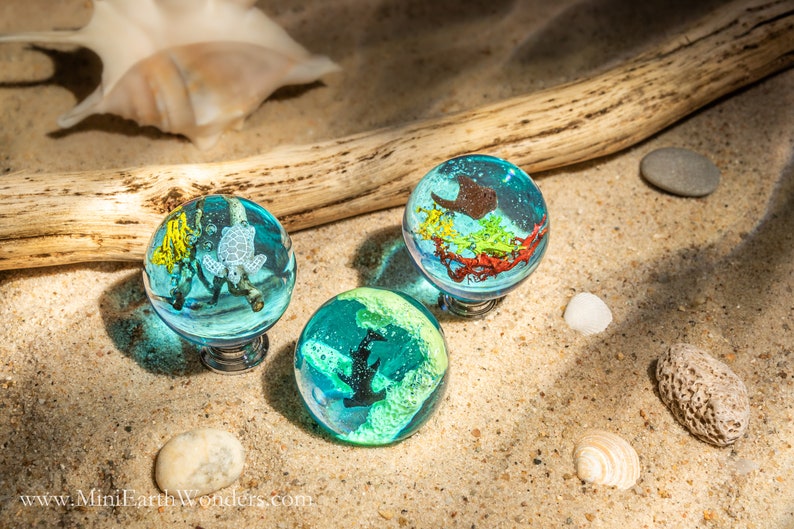 May include: Three glass ornaments with a blue, green, and clear resin base. Each ornament features a different sea creature and coral inside. The ornaments are on a sandy surface with a piece of driftwood and seashells.