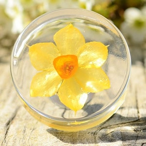 May include: A yellow daffodil flower encased in clear resin, creating a unique and delicate piece of jewelry.