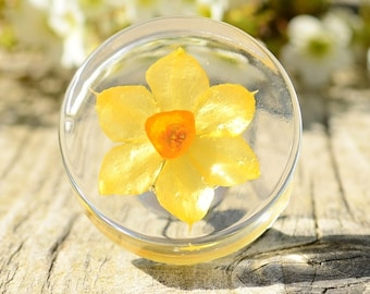 Real yellow daffodil cabinet knobs pulls , Decorative kitchen knobs, yellow hardware