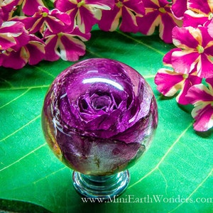 Dark Pink Rose Drawer Knobs Kitchen Cupboard knob Furniture door knob Unique door pulls Handmade cabinet door knob