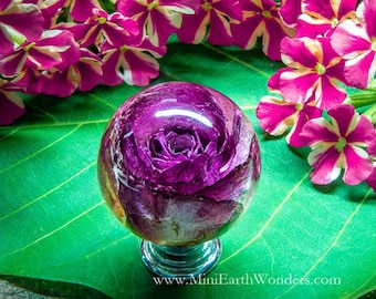Dark Pink Rose Drawer Knobs Kitchen Cupboard knob Furniture door knob Unique door pulls Handmade cabinet door knob