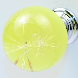 May include: A yellow glass knob with a dandelion inside. The knob is attached to a silver base.