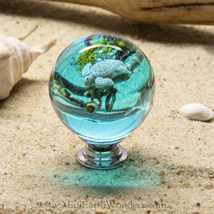 Drawer  knobs 40mm sphere size sea life knob with turtle , Nautical knob , Special gifts for him,