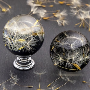 May include: Two clear glass spheres filled with dandelion seeds, one on a silver base. The spheres are on a dark gray surface with loose dandelion seeds scattered around them.