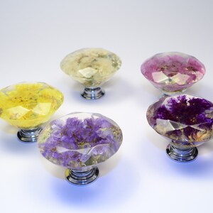 Gift SET of 5 Real Flower Resin Drawer Knobs, Drawer Pulls,  Home Decor ,  personalized gifts for mom