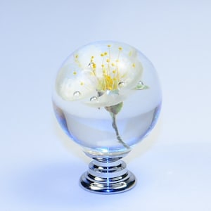 May include: A clear glass knob with a white flower encased inside. The knob has a silver base.