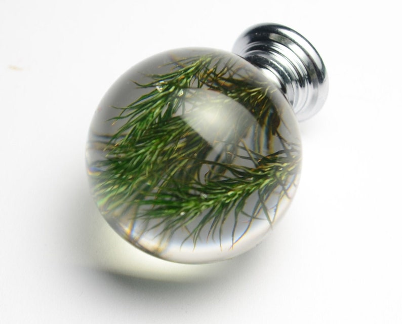 May include: A clear glass sphere with a silver knob, containing preserved green foliage.