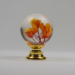 May include: A clear glass sphere with a gold base, containing a pressed orange and red flower.
