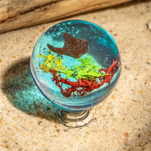 Boy Drawer Knobs - Etsy