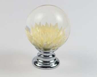 Puxadores de móveis de resina de flor real Gomphrena branca/cremosa