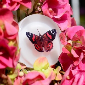 Poignées d'armoire papillon, boutons de tiroir d'été, cadeau de fête des Mères, cadeaux personnalisés pour maman