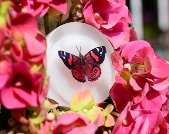 Butterfly cabinet pulls, Summer drawer knobs , Mather's day gift, personalized gifts for mom