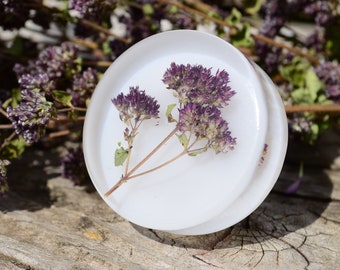Natural Oregano Herb kitchen knobs, Drawer Pulls, Cabinet Knobs