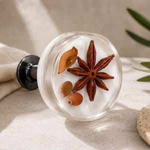 May include: A clear, round glass bottle stopper with a black base. The stopper contains star anise, seeds, and a piece of dried fruit. The background is neutral with a hint of greenery.