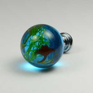 May include: A blue glass cabinet knob with a green and brown design inside. The knob has a silver base.