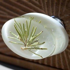 May include: A white oval-shaped cabinet knob with a clear resin top. Inside the resin is a pressed green plant.