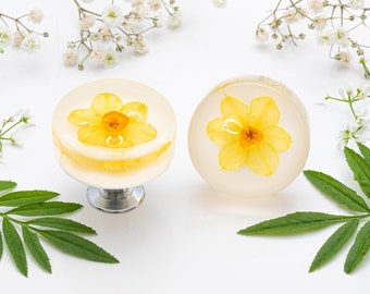 Påsklilja Blomma Harts Lådknopp: Boho Skåphandtag