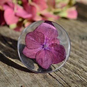 May include: A clear glass dome with a single pressed purple flower inside. The flower is a hydrangea with a delicate, layered design.