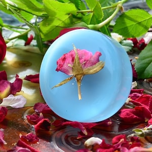 Op de afbeelding: Een ronde, lichtblauwe zeep met een geperste, gedroogde roze roos in het midden. De zeep is omringd door rozenblaadjes.
