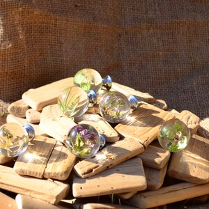 May include: A collection of six clear glass knobs, each containing different dried flowers and greenery, displayed on a pile of weathered wooden planks.