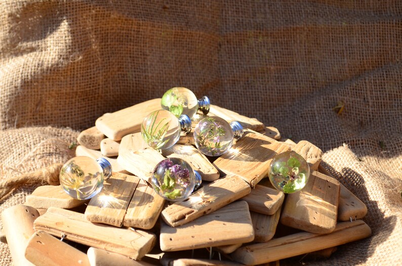 May include: A collection of six clear glass knobs, each containing different dried flowers and greenery, displayed on a pile of weathered wooden planks.