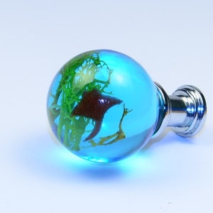 May include: A blue glass sphere with a silver base. The sphere contains preserved green and brown seaweed.