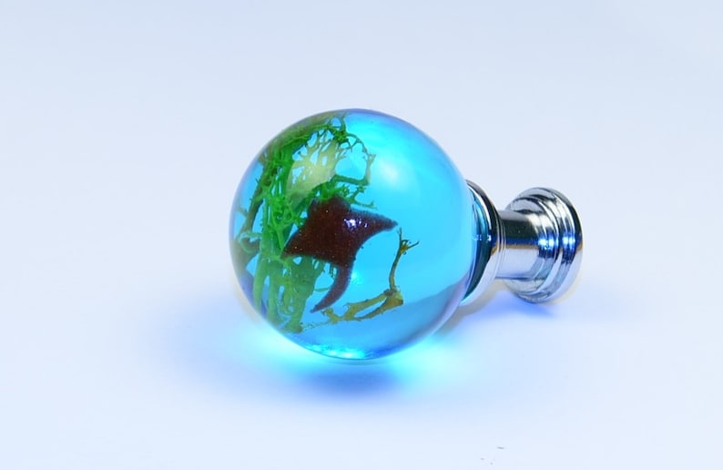 May include: A blue glass sphere with a silver base. The sphere contains preserved green and brown seaweed.