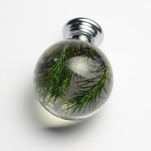 May include: A clear glass sphere with a silver knob on top. Inside the sphere are green plant sprigs.
