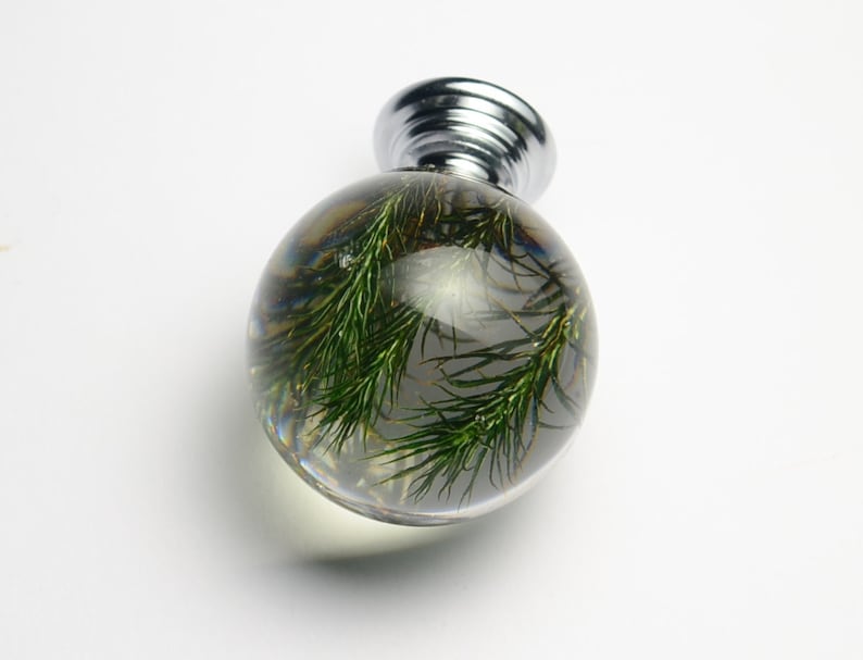 May include: A clear glass sphere with a silver knob on top. Inside the sphere are green plant sprigs.