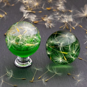 May include: Two green glass spheres filled with dandelion seeds. The spheres are on a dark gray surface. The sphere on the left is attached to a silver knob.