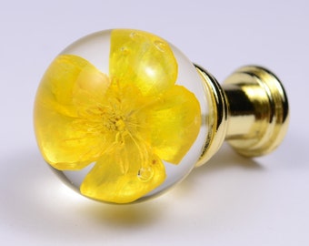 Buttercup Real flower in Resin Furniture Knobs Drawer knobs Cabinet Pull sphere size 30mm