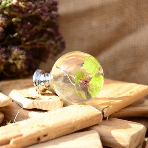 May include: A clear glass sphere containing a small green plant, resting on a stack of wooden planks. The sphere is attached to a silver metal base.