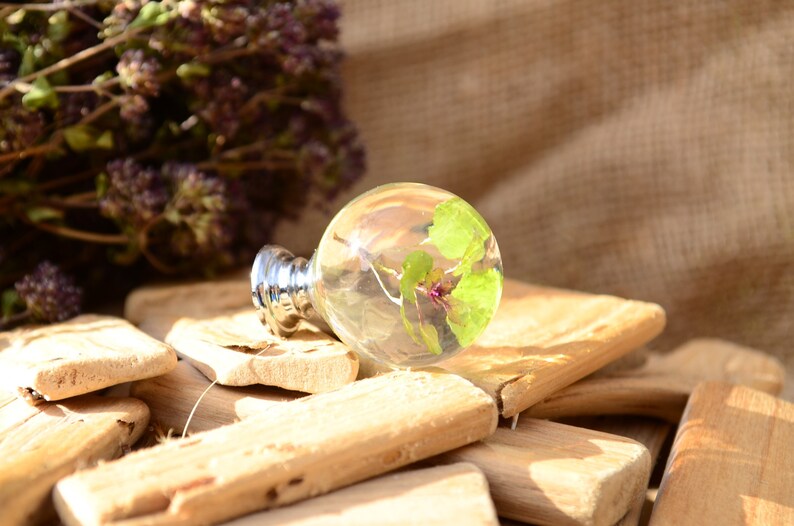 May include: A clear glass sphere containing a small green plant, resting on a stack of wooden planks. The sphere is attached to a silver metal base.