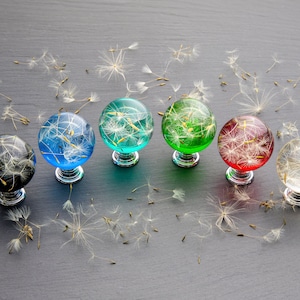May include: Six round glass cabinet knobs with dandelion seeds embedded inside. The knobs are in various colors, including blue, green, red, and clear.