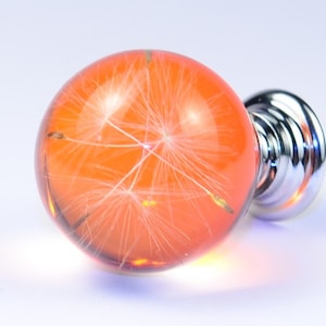 Real Dandelion Seeds Drawer Dresser Furniture Orange Knobs Handmade Gift Knobs