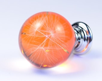 Real Dandelion Seeds Drawer Dresser Furniture Orange Knobs Handmade Gift Knobs