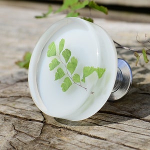 Knobs for drawers, Real green leaves cabinet knobs, Elegant drawer pulls, green leaves, dresser knobs, Minimalist home decor