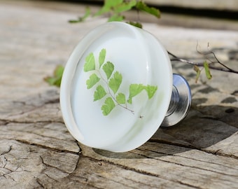 Echter Farn Blatt Möbelknauf: Eleganter botanischer Schubladenknauf