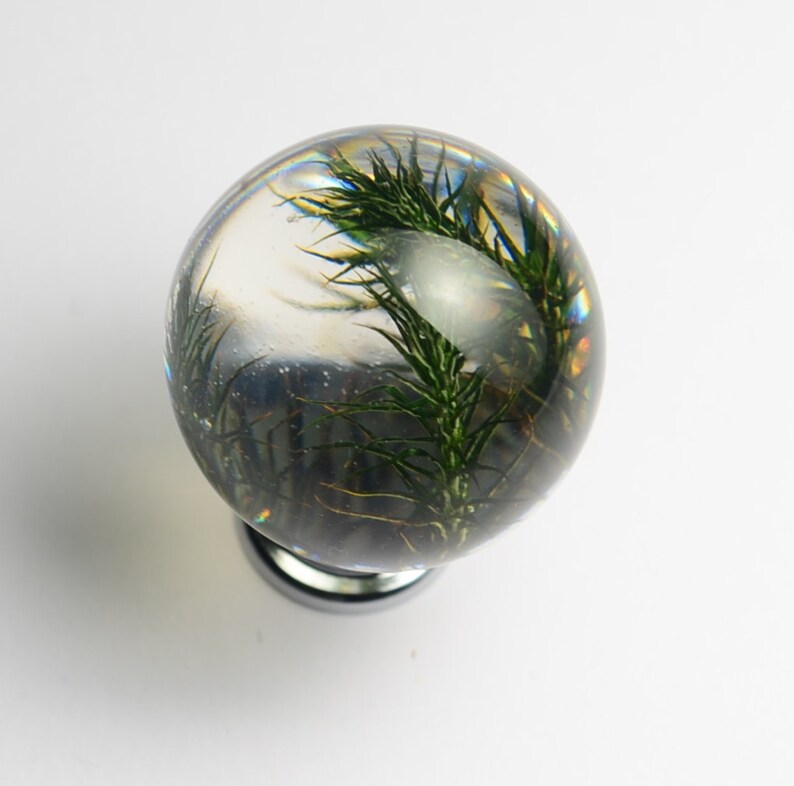 May include: A clear glass sphere with a small green plant inside. The sphere is mounted on a silver base.