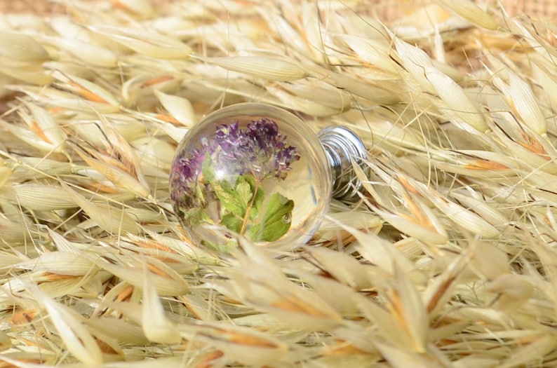 May include: A clear glass sphere with a silver metal base containing a preserved purple flower and green leaves. The sphere is resting on a bed of dried, light brown grass.