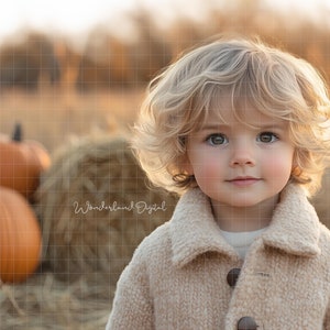 Peut inclure: Un jeune enfant aux cheveux blonds bouclés portant un manteau beige, regardant directement la caméra. L'enfant se tient dans un champ avec des balles de foin en arrière-plan.