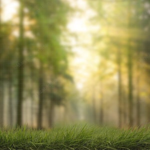 Forest Digital Backdrop Layered PSD with Grass Overlay