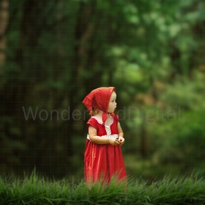 May include: A young girl wearing a red dress and a red hooded cape stands in a grassy field. She is looking to the right of the frame.