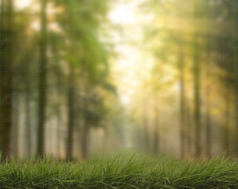 Forest Digital Backdrop Layered PSD with Grass Overlay