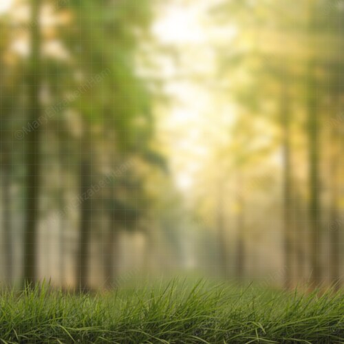 Forest Path Digital Backdrop/background Layered PSD With Grass - Etsy