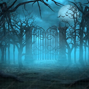 May include: A dark, misty forest scene with a wrought iron gate in the center. The trees are bare and the ground is covered in fog. A full moon shines brightly in the sky.