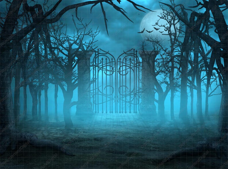 May include: A dark, misty forest scene with a wrought iron gate in the center. The trees are bare and the ground is covered in fog. A full moon shines brightly in the sky.