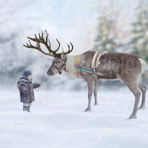 Reindeer Digital Backdrop/Background, Christmas Background